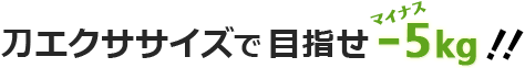 刀エクササイズで　目指せ-5kg！！